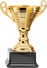award4 award4